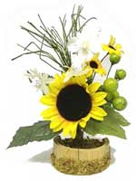 Small Sunflower Arrgt